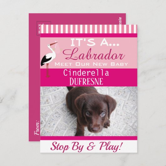 Es ist eine "New Pet"-Ankündigung Postkarte (Vorne/Hinten)