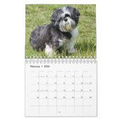 Es ist eine schiitische Tzu-Welt Kalender (Feb 2026)