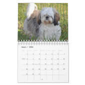 Es ist eine schiitische Tzu-Welt Kalender (Mär 2026)