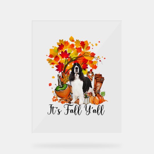 Es ist Fall Y'all Springer Spaniel Hund Halloween  Acrylschild (Vorderseite)