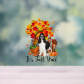Es ist Fall Y'all Springer Spaniel Hund Halloween  Acrylschild (Neutral)