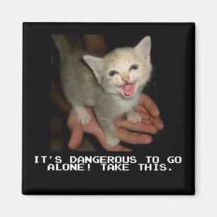 Es ist gefährlich, alleinzu gehen Magnet