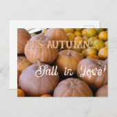 Es ist Herbst Herbst in der Liebe!! Pumpkins Holid Postkarte (Vorne/Hinten)