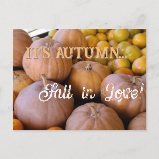 Es ist Herbst Herbst in der Liebe!! Pumpkins Holid Postkarte (Vorderseite)
