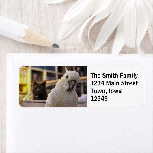 Es ist hinter mir...Ist es nicht? (Insitu)