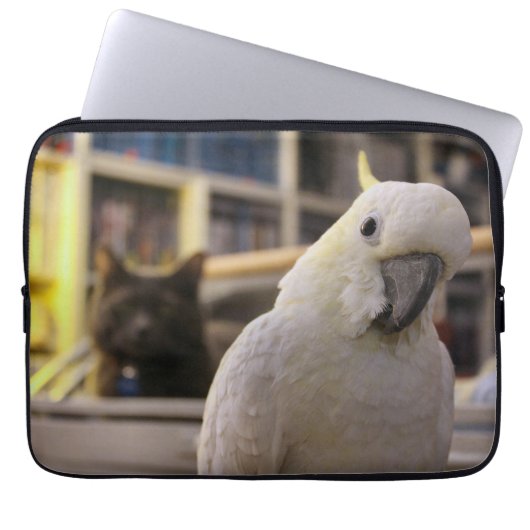 Es ist hinter mir...Ist es nicht? Laptopschutzhülle (Vorderseite)