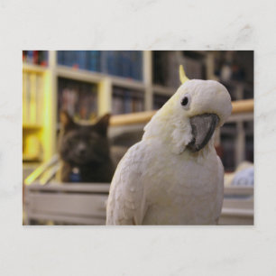 Es ist hinter mir...Ist es nicht? Postkarte