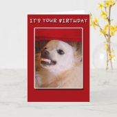 Es ist Ihr Geburtstag! Grinsende Karte (Gelbe Blume)