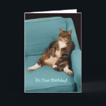 Es ist Ihre Geburtstaggroße fette Karte<br><div class="desc">Eine große fette Tabbykatze, die glücklich oben wie eine Person sitzt und auf einem aquamarinen Armstuhl sich entspannt. Niedliches und lustiges Lachen für jedermann Geburtstag!!! Geben Sie sich auf diesem Geburtstag hin, essen Sie Kuchen, genießen Sie! Inspiration für diese Karte kommt von einem Foto I geschossen von der großen Tabbykatze...</div>