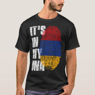 Es ist in meiner DNA-Armenien-Flagge armenisch T-Shirt
