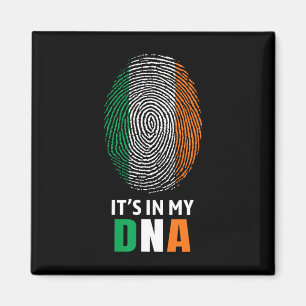 Es Ist In Meiner Dna Irland Irische Flagge Geschen Magnet