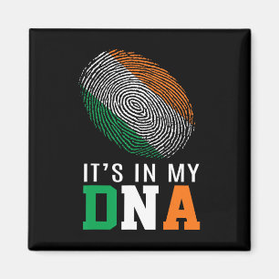 Es Ist In Meiner Dna Irland Irische Flagge Geschen Magnet