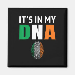 Es Ist In Meiner Dna Irland Irische Flagge Geschen Magnet