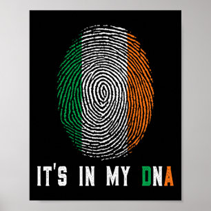 Es Ist In Meiner Dna Irland Irische Flagge Geschen Poster