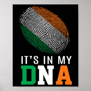 Es Ist In Meiner Dna Irland Irische Flagge Geschen Poster