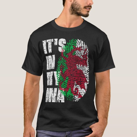 ES IST IN MEINER DNA Wales Flag Walish T-Shirt (Vorderseite)