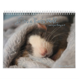 Es ist Kalender einer Ratte Welt