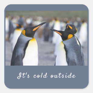 Es ist kalt außerhalb von King Penguin Foto mit Te Quadratischer Aufkleber