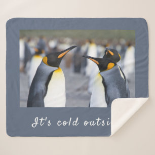 Es ist kalt außerhalb von King Penguin Foto mit Te Sherpadecke
