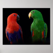 Es ist Liebe! Poster (Vorne)