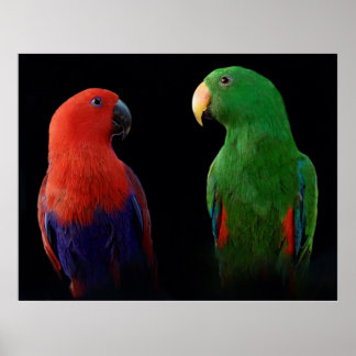 Es ist Liebe! Poster