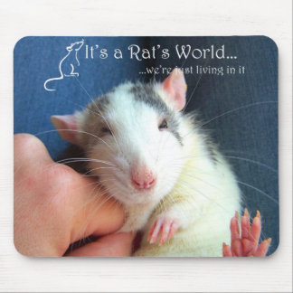 Es ist Mausunterlage einer Ratte Welt Mousepad