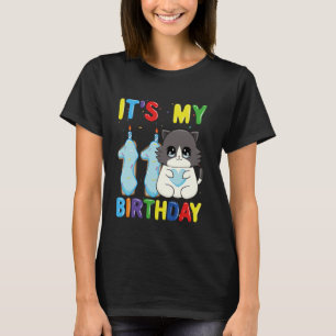 Es ist mein 11. Geburtstag Junge 11 Jahre alte Rag T-Shirt