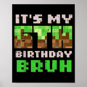 Es ist mein 6. Geburtstag Bruh Xel Gamer 6 Geburts Poster