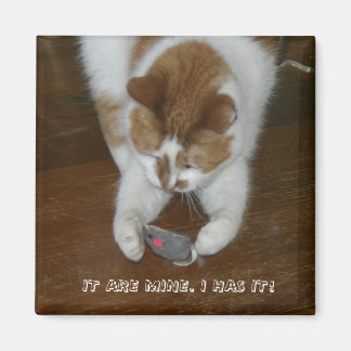 ES IST MEIN. ICH HABE ES! MAGNET