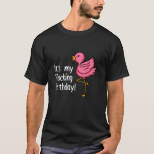 Es ist meine faszinierende Geburtstagsfeier Funny T-Shirt