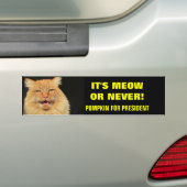 Es ist Meow oder Nie! Pumpkin für Präsident Autoaufkleber (Auf Auto)