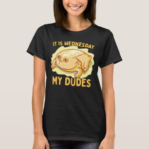 Es ist Mittwoch Mein Typ Klassiker Froschmeme T-Shirt