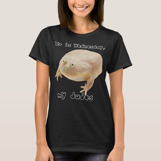 Es ist Mittwoch meine Typ Funny Classic Frog Meme T-Shirt (Vorderseite)