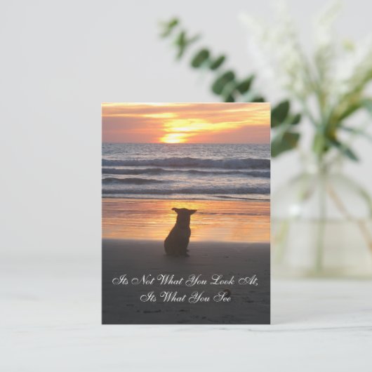 Es ist nicht das, was Sie sich ansehen. Es ist, wa Postkarte (Stehend Vorderseite)