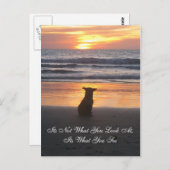 Es ist nicht das, was Sie sich ansehen. Es ist, wa Postkarte (Vorne/Hinten)