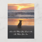 Es ist nicht das, was Sie sich ansehen. Es ist, wa Postkarte (Vorderseite)