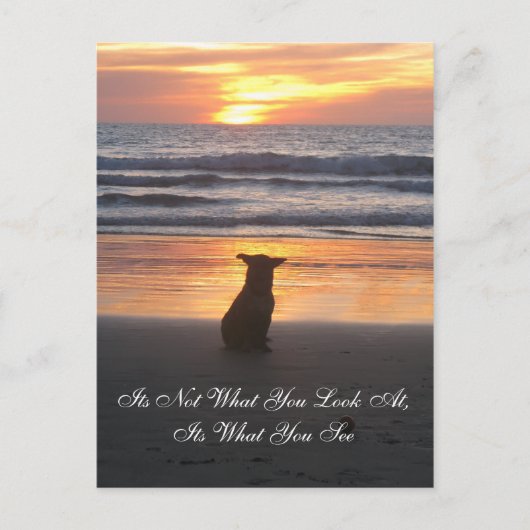 Es ist nicht das, was Sie sich ansehen. Es ist, wa Postkarte (Vorderseite)