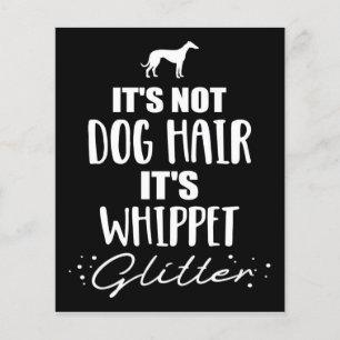 Es ist nicht Hundehaar, es ist Whippet-Hundefreund Flyer