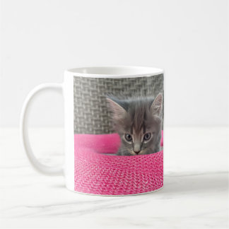 Es ist nicht meine Schuld. Bürohumor. Katzen-Kaffe Kaffeetasse