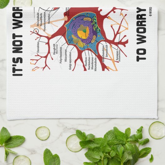 Es ist nicht wert eine Synapse, zum sich im Geschirrtuch (Gefaltet)