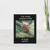 ES IST NUR "NUTTY" U KANN NICHT "70" KARTE SCHALTE (Vorderseite)