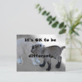 Es ist OK, anders zu sein Postkarte (Stehend Vorderseite)