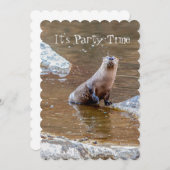 Es ist Party Zeit, Otter, Einladung, Geburtstag, Einladung (Vorne/Hinten)