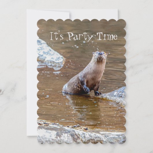 Es ist Party Zeit, Otter, Einladung, Geburtstag, Einladung (Vorderseite)