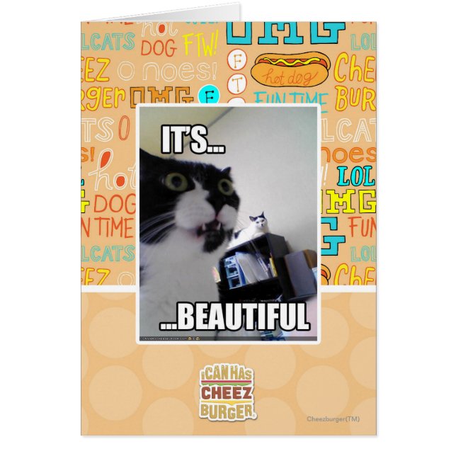 Es ist schön (Vorne)