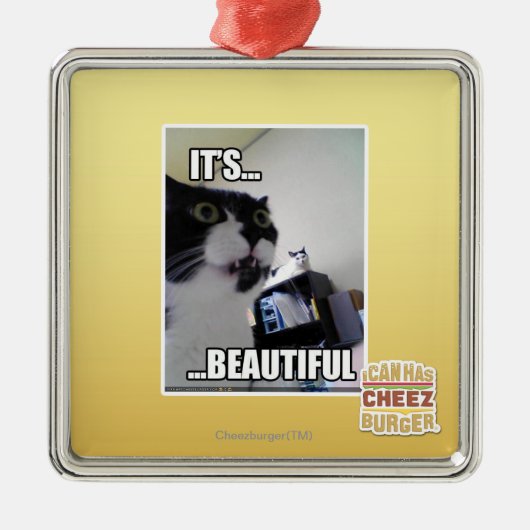 Es ist schön ornament aus metall (Vorne)