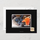 Es ist schön! postkarte (Vorne/Hinten)