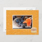 Es ist schön! postkarte (Vorne/Hinten)