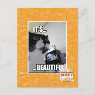 Es ist schön postkarte