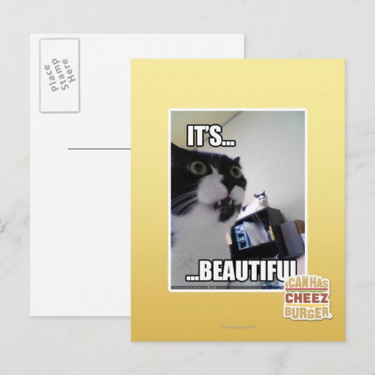 Es ist schön postkarte (Vorne/Hinten)